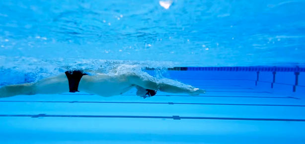 butterfly swim technique